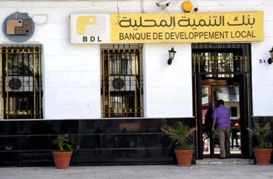 Alors que l’entrée de la BDL a été reportée à fin 2025 : L’ouverture du capital de la start-up Moustashir lancée hier