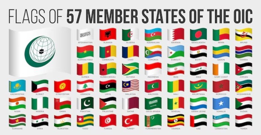 Faid au sujet de la sécurisation des échanges commerciaux dans les pays de l’OCI: Plus qu’une intégration régionale,  l’Algérie veut un élargissement continental