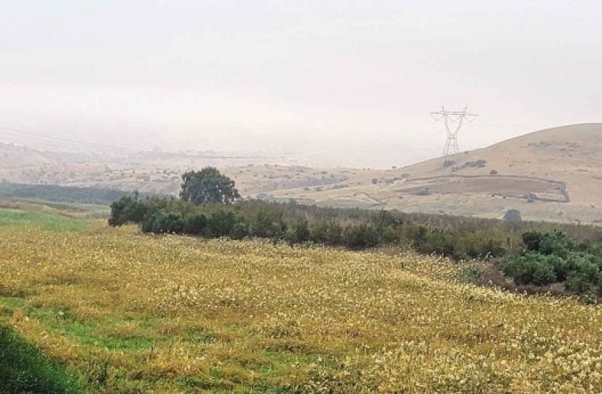 Le barrage du Chéliff est complètement asséché