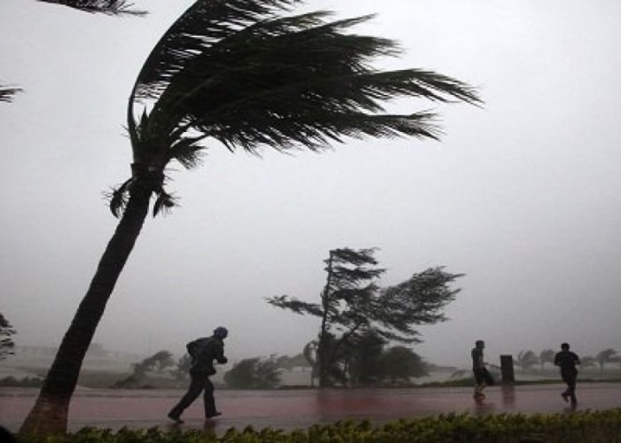 Météo : de très fortes rafales de vent sur plusieurs wilayas