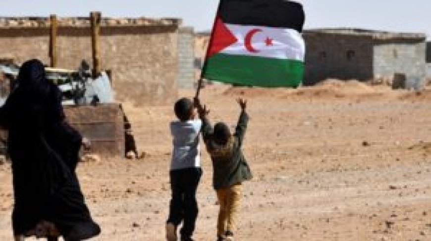 L’AG de l’ONU adopte une résolution pour le Sahara Occidental : énième gifle cinglante pour le Makhzen