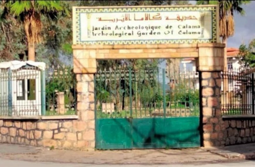 Jardin archéologique de Guelma : Un lieu chargé d’histoire plongé dans la pénombre la nuit