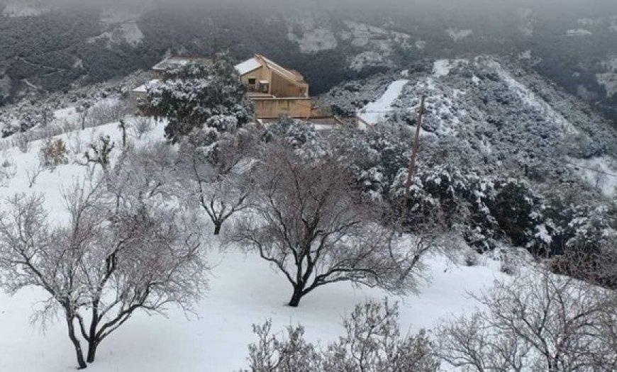 Météo : de la neige sur plusieurs wilayas