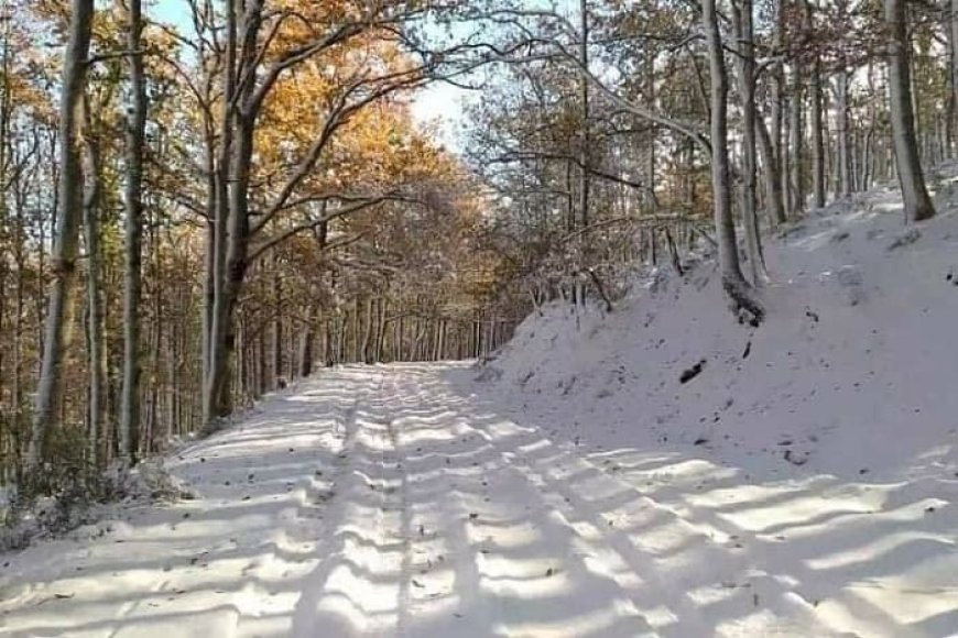 Des chutes de neige sur les reliefs dépassant les 1100 m d’altitude