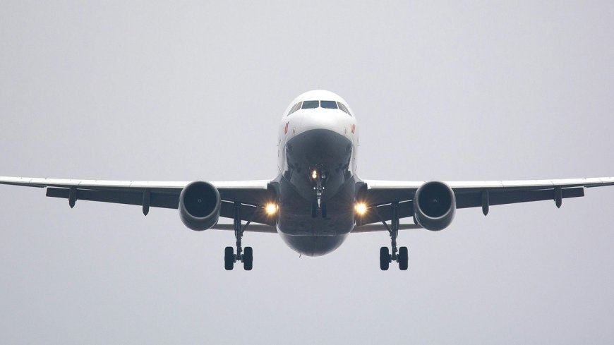 Billets d’avion France – Algérie : les meilleures offres pour les vacances d’hiver