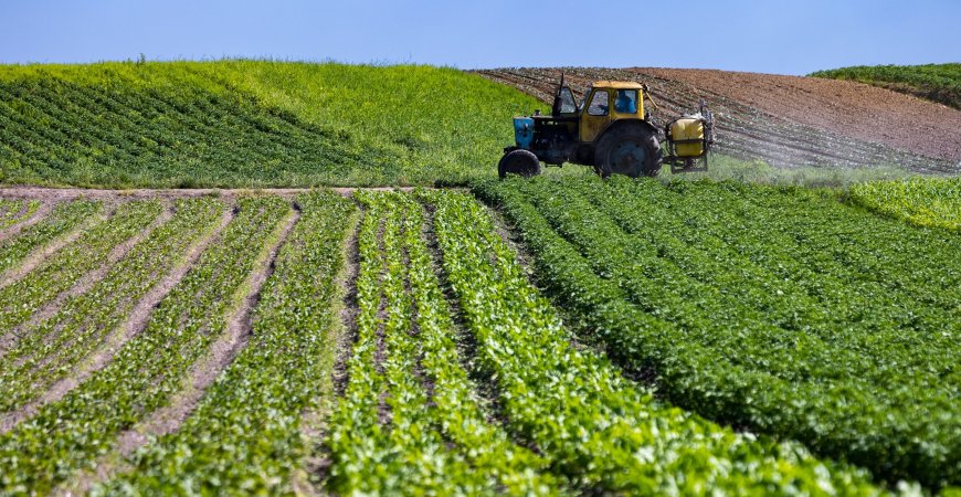 En application des décisions du président de la RépubliqueInstallation de la Commission nationale de régularisation du foncier agricole