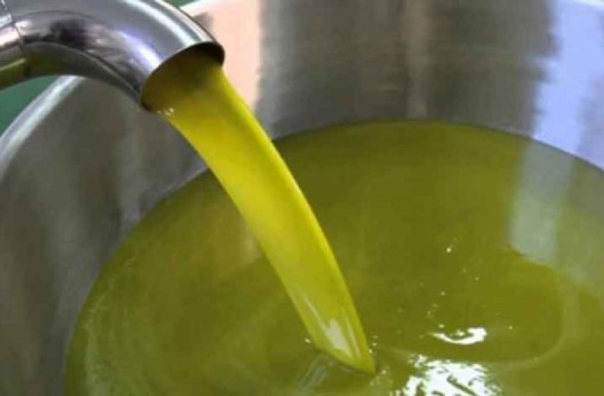 Sétif : Production de 7 millions de litres d’huile d’olive