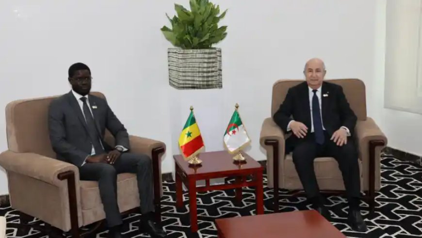 A Nouakchott, le président Tebboune s’entretient avec son homologue sénégalais