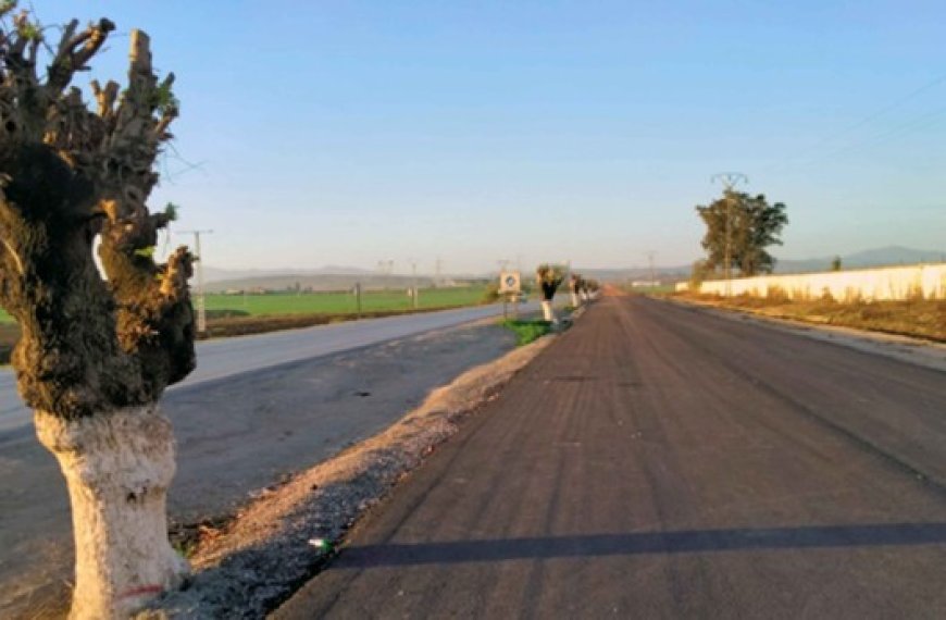 Pénétrante Guelma-autoroute est-ouest : Les travaux s’éternisent