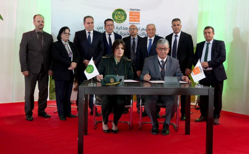 Sonatrach-DGF : un projet forestier pour la création de puits de carbone naturels certifiés