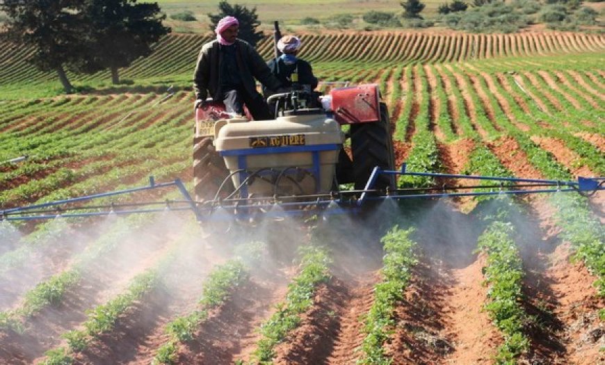 Agriculture : l’Algérie voit grand