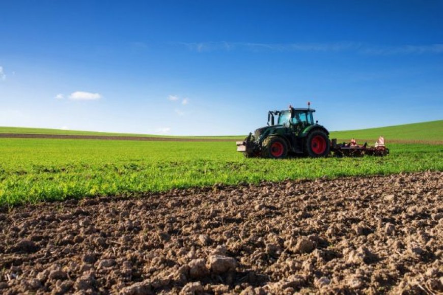 Assainissement du foncier agricole : Les nouvelles mesures vont libérer l’investissement à Béjaïa 