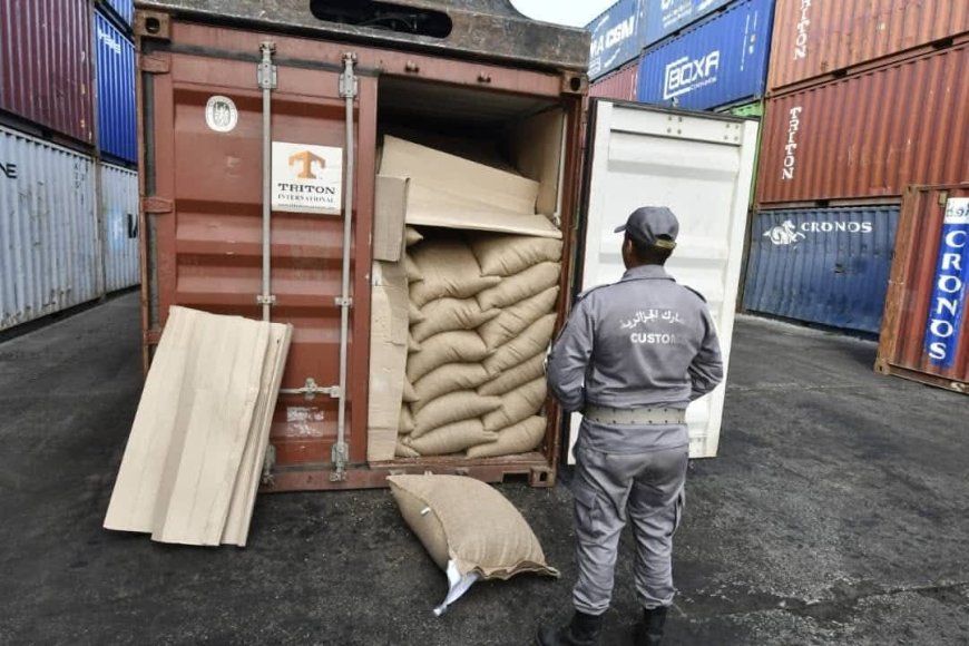 Saisie au niveau des ports de 23 000 tonnes de café importé répartis sur 1200 conteneurs