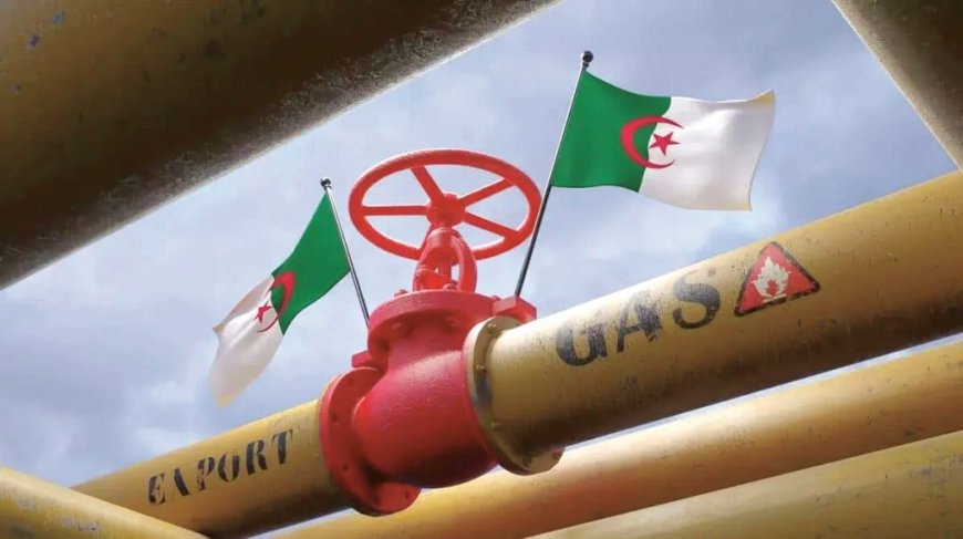 Algérie, leader africain du gaz naturel : que révèlent les dernières statistiques ?