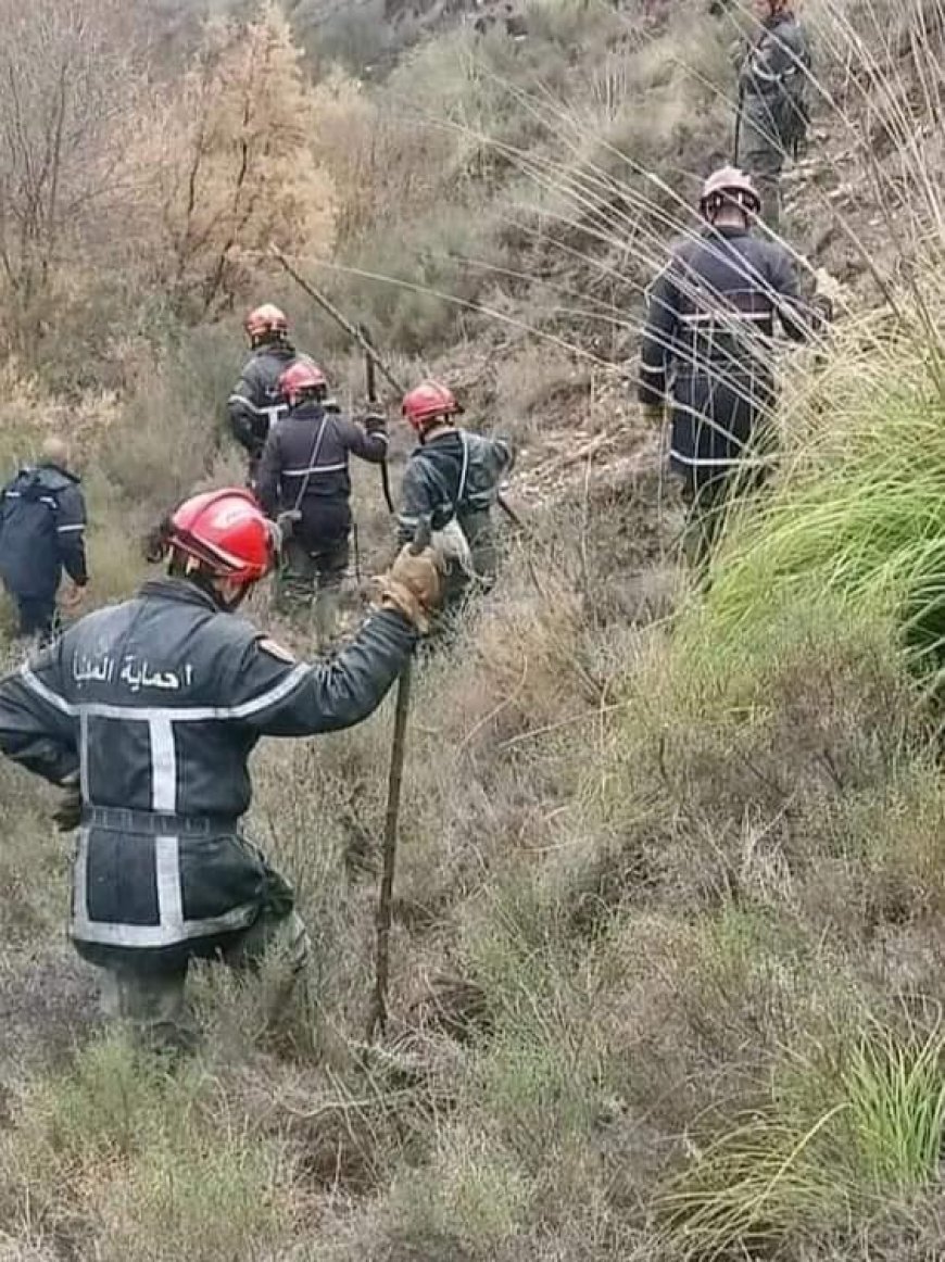 Jijel : Erraguene : Un homme retrouvé sans vie dans une forêt