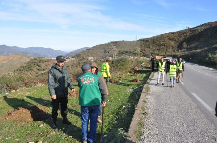 Journée internationale de la montagne : Campagne de reboisement à Chréa