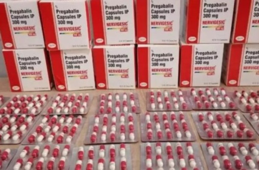 Laghouat : Saisie de plus  de 60 000 capsules de psychotropes