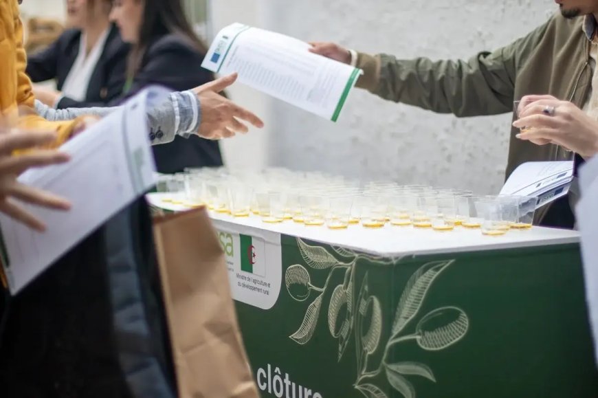 Le laboratoire d’analyses de Takerietz obtient un agrément du Conseil oléicole international