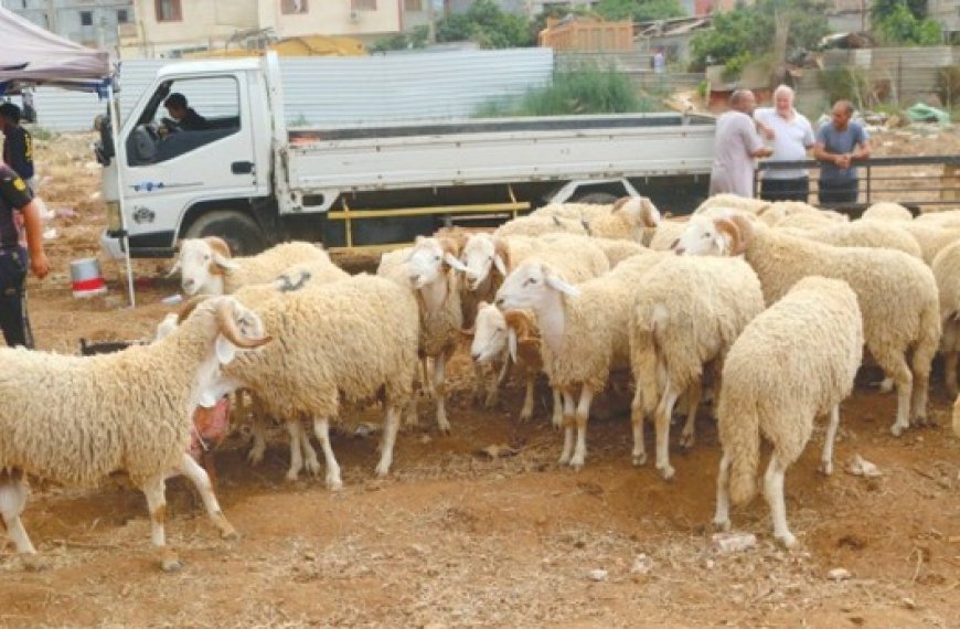 Rencontre à Djelfa sur la santé animale dans les régions steppiques