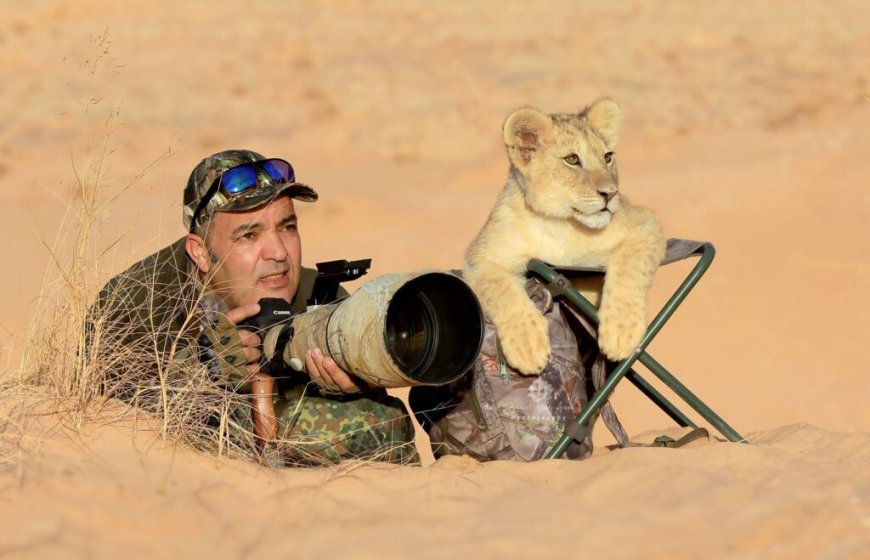 À 1 m d’un cobra prêt à bondir : Djamal Hadj Aissa capture la photo sauvage de l’année 2024