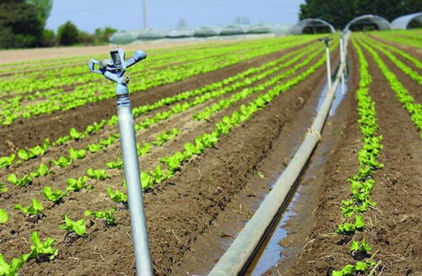 Aïn Témouchent : De nouvelles perspectives pour l’eau et l’hydraulique agricole