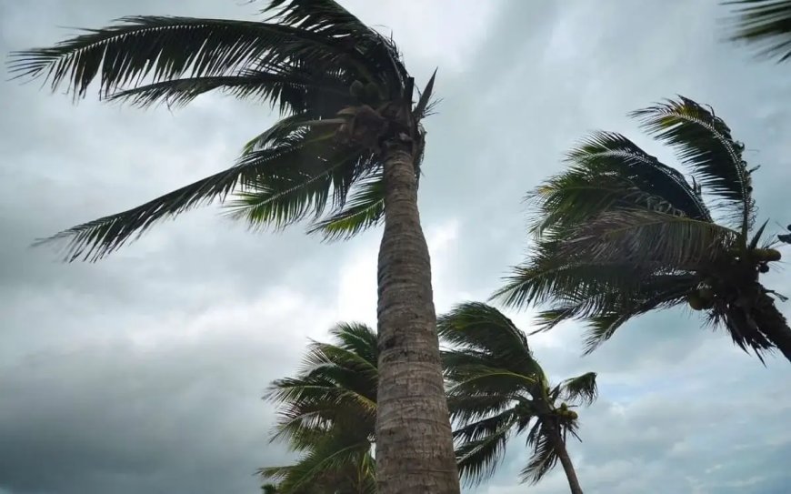 Météo : Vents forts sur des wilayas du sud du pays à partir de lundi