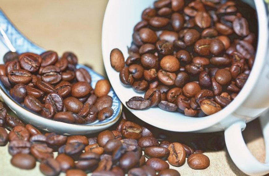 Importation et transformation du café : Indemnisation de 10 opérateurs économiques