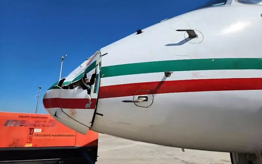 Maroc. L’ONDA prépare la guerre contre la faune des aéroports