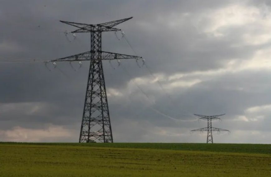 Illizi : Raccordement d’une centaine d’exploitations agricoles à l’électricité