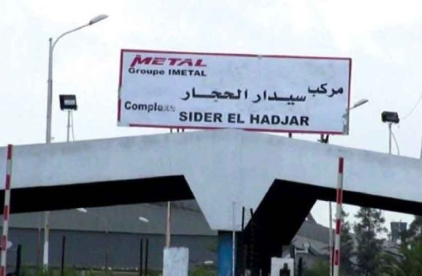 Très faible bilan de production et rupture de stock de coke annoncée : Le complexe sidérurgique Al Solb El Hadjar face à de sérieux défis en 2025