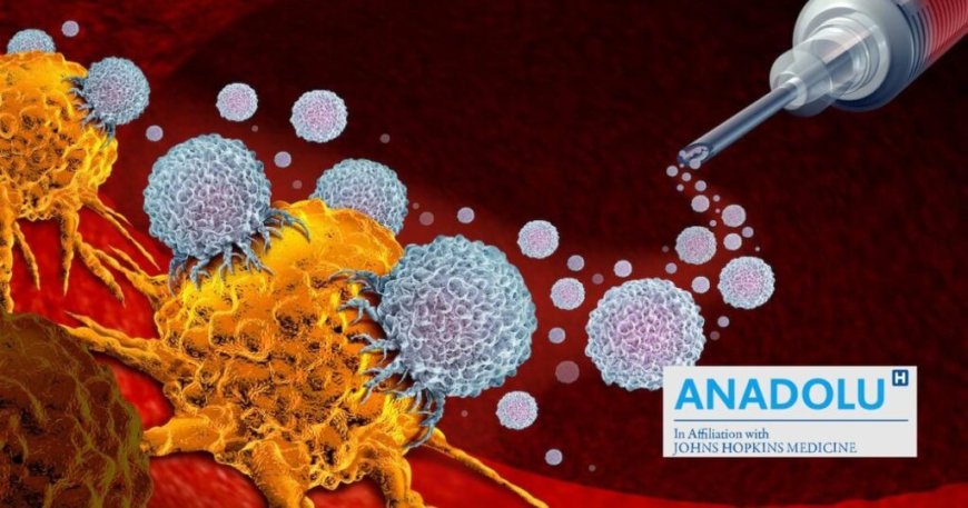 Décryptage : comment agit l’immunothérapie pour traiter le cancer