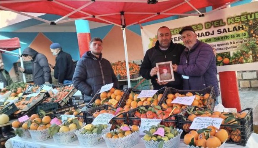 5e foire des agrumes à Béjaïa : Nécessité de protéger les variétés locales