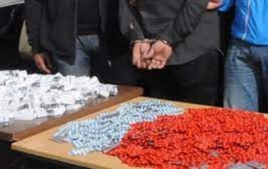 Tizi Ouzou : les gendarmes saisissent une importante quantité de drogue et de psychotropes