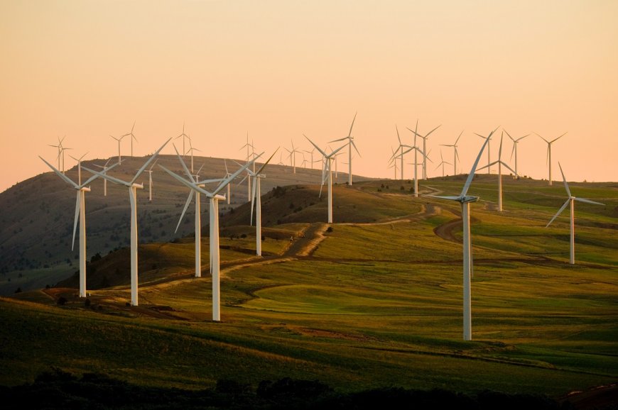 Après le solaire, l’Algérie étudie un projet pour produire 1.000 mégawatts d’énergie éolienne