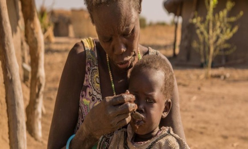 La famine progresse au Soudan, selon un rapport de l’ONU