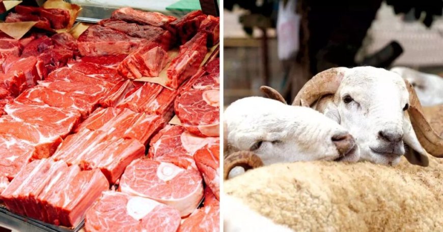 La viande rouge à 2500 DA/kg pour le Ramadan : La baisse des prix du bétail se confirme