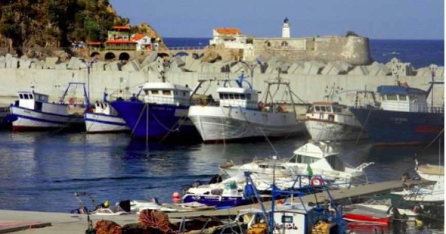 Amélioration des infrastructures de pêche maritime : Deux sites d’accostage en projet à La Marsa et Ben Zouit