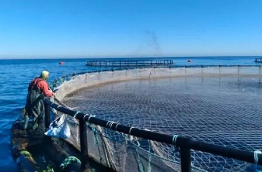 Sidi Bel-Abbès : Sensibilisation des femmes rurales à la pisciculture d’eau douce