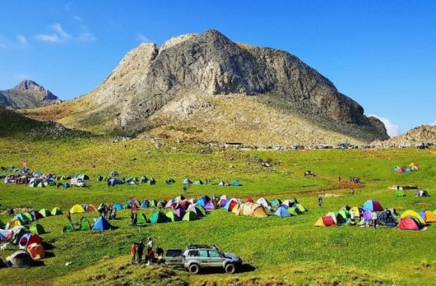 Patrimoine forestier en péril : Le camping interdit à Tikjda