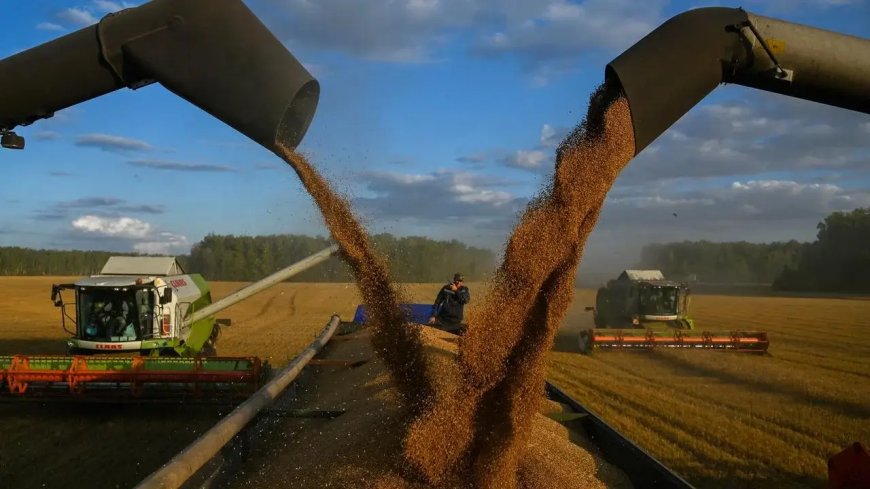 L’Algérie passe commande pour plus d’un million de tonnes de blé