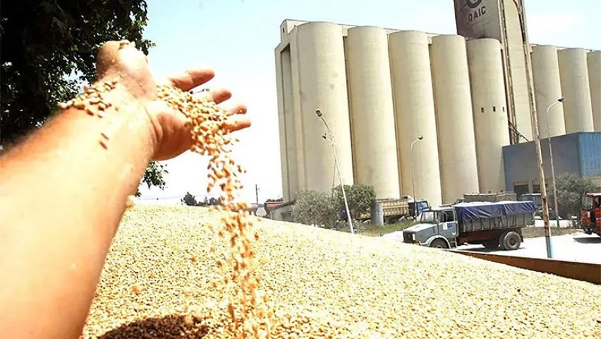 Stockage de céréales à Oran  Lancement des travaux de réalisation de sept silos intermédiaires