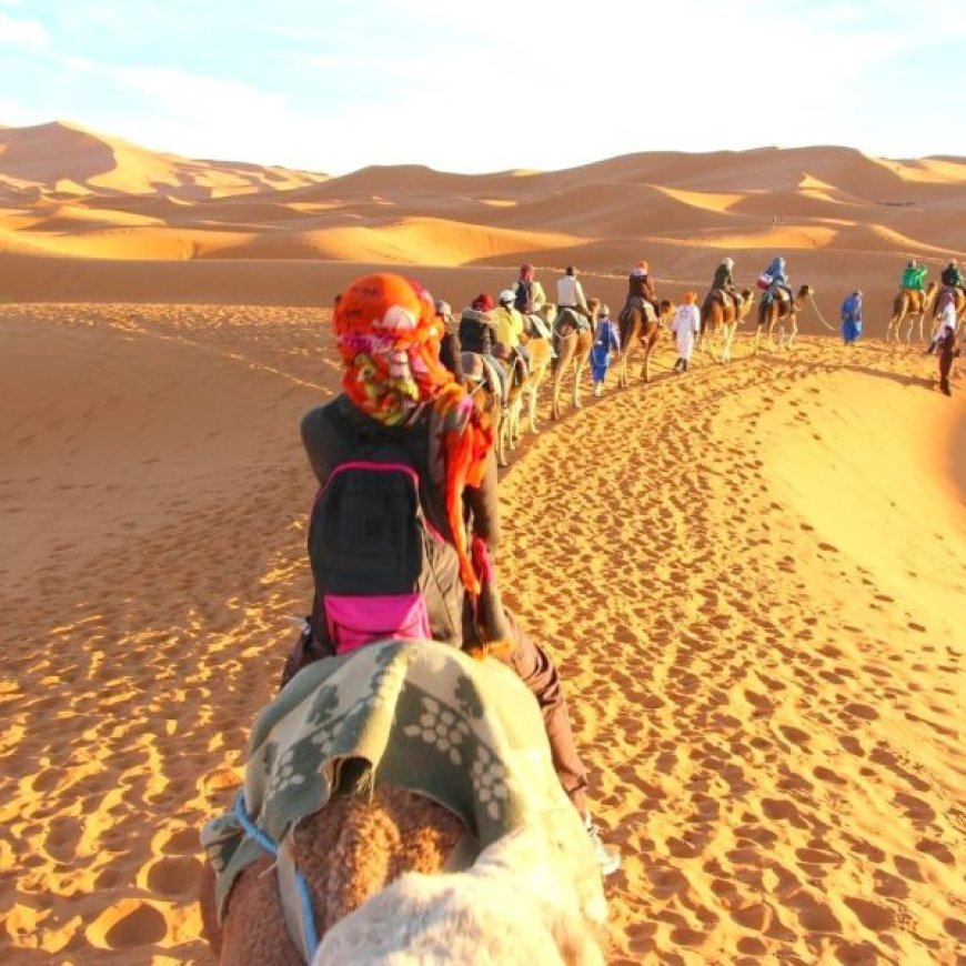 Fêtes de fin d’année : Bivouacs et paysages du Sud en vogue