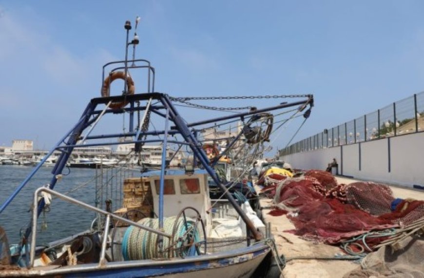 Exportation de 150 tonnes de produits de la pêche à Oran