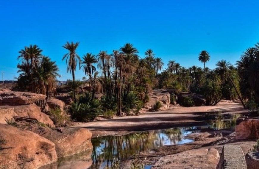 Oasis  de Tiout (Naâma) : Forum maghrébin du tourisme de la jeunesse