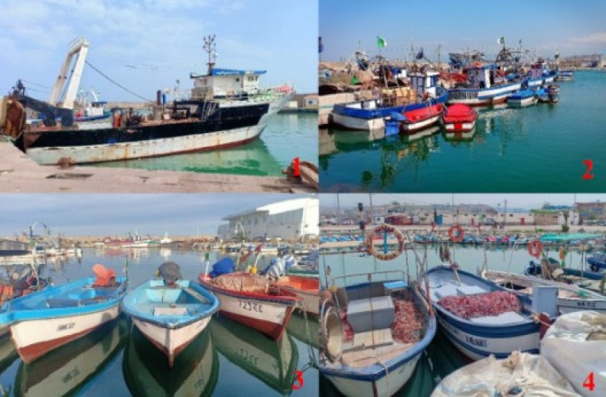 Pêche artisanale à Skikda : Equipement de deux sites d’amarrage