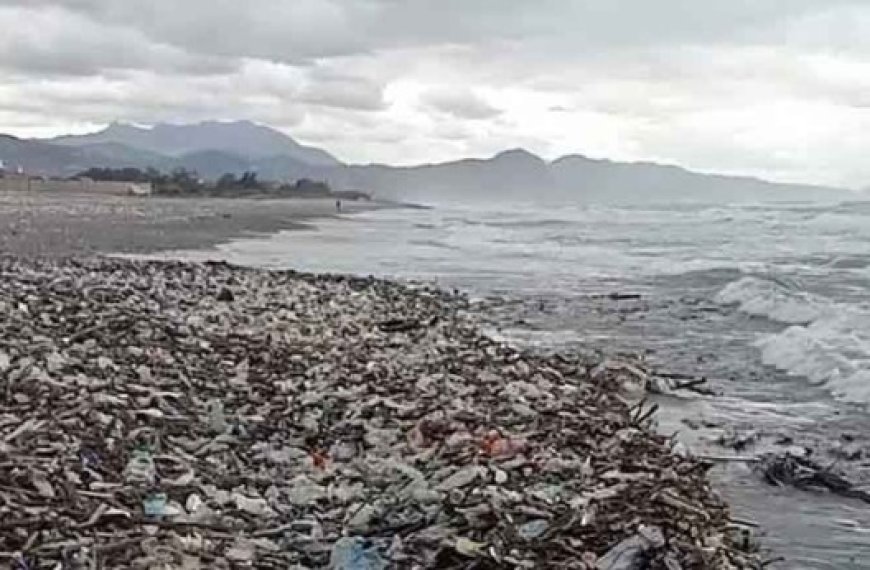 Côte est de Béjaïa : Les ordures refont surface