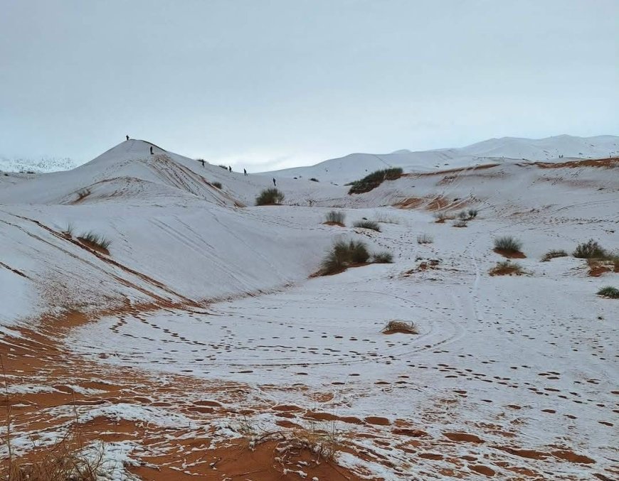 Premiers flocons de neige à Nâama