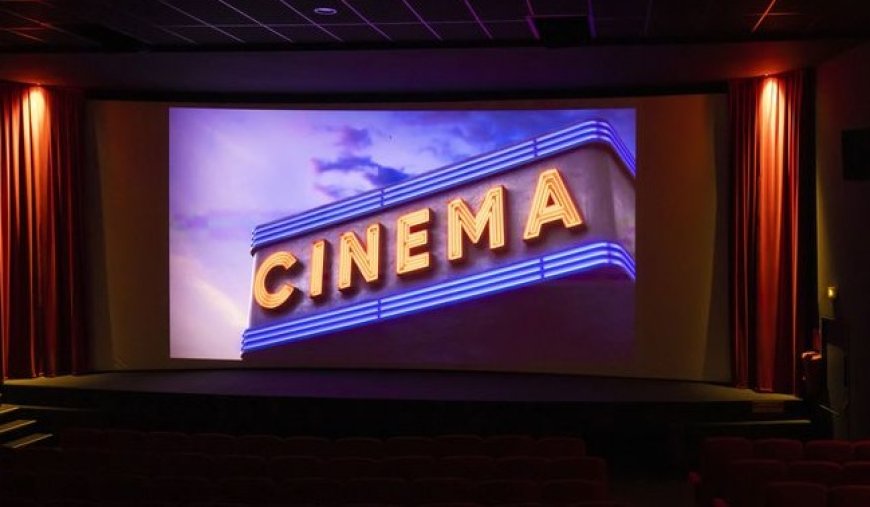 Cinéma algérien en 2024: Promulgation de la loi sur l’industrie cinématographique