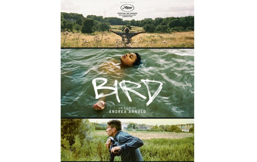 «Bird» d’Andrea Arnold: Une parenthèse de grâce  dans un monde de violence