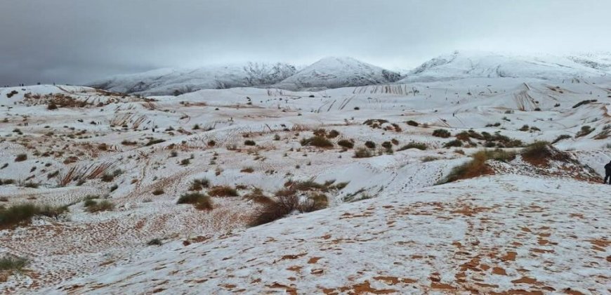 Naâma : Un tableau hivernal où les dunes de sable se parent de blanc